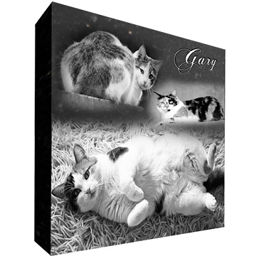 Design Pet Headstone